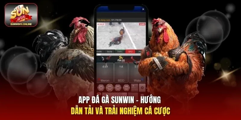 App Đá Gà Sunwin - Hướng Dẫn Tải Và Trải Nghiệm Cá Cược 1 Sunwin App đá gà