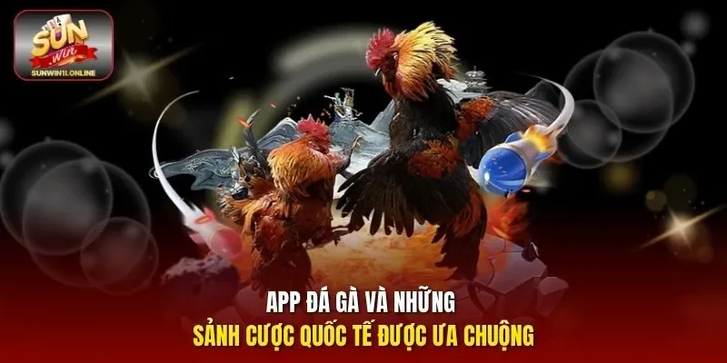 App Đá Gà Sunwin - Hướng Dẫn Tải Và Trải Nghiệm Cá Cược 3 Sunwin App đá gà và những sảnh cược quốc tế được ưa chuộng