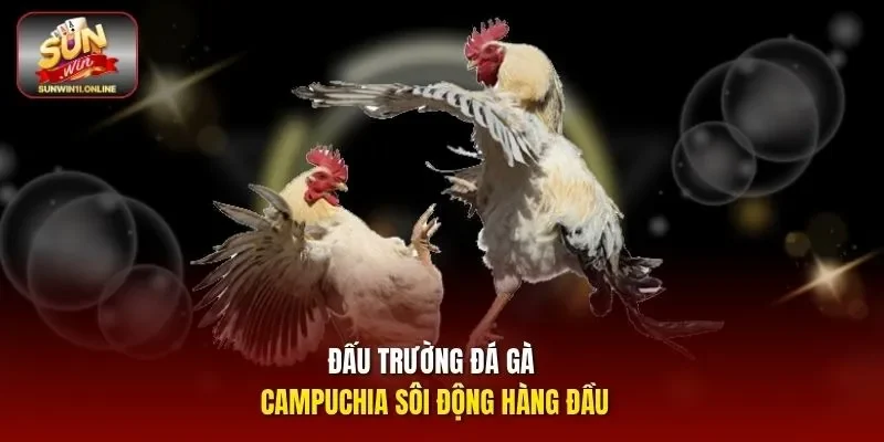 Đá Gà Campuchia - Khám Phá Trò Chơi Cá Cược Đỉnh Cao 2026 10 Sunwin Đấu trường đá gà Campuchia sôi động hàng đầu