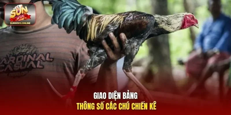Đá Gà Campuchia - Khám Phá Trò Chơi Cá Cược Đỉnh Cao 2026 11 Sunwin Giao diện bảng thông số các chú chiến kê
