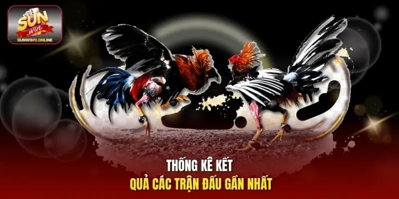 Đá Gà Campuchia - Khám Phá Trò Chơi Cá Cược Đỉnh Cao 2026 12 Sunwin Thống kê kết quả các trận đấu gần nhất
