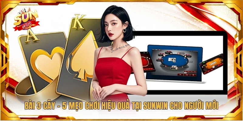 Bài 3 Cây - 5 Mẹo Chơi Hiệu Quả Tại Sunwin Cho Người Mới